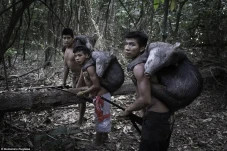 Tempat Berburu Terus...