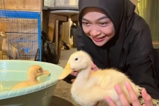 Ria Ricis Sudah Daftarkan...