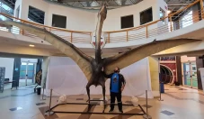 Fosil Dinosaurus Naga...