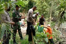 Hendak Cari Rumput,...