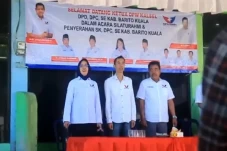 15 DPC Partai Perindo...