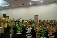 Peminat Aglaonema Meningkat...