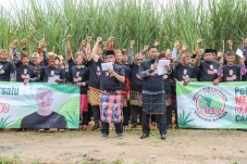 Ratusan Petani Tebu...