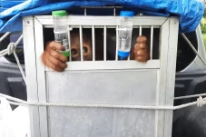 Sempat Dikerangkeng...