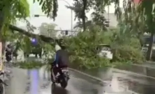 Hujan dan Angin Terjang...