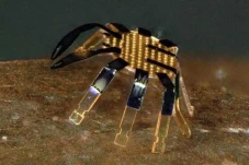 Berhasil Ciptakan Robot...
