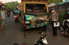 Adu Banteng dengan Truk,...
