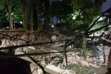 Pohon Tumbang Robohkan...