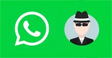 Ciri Pengguna WhatsApp...