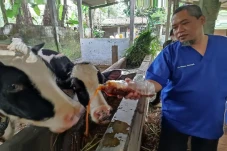 Dokter Hewan di Semarang...