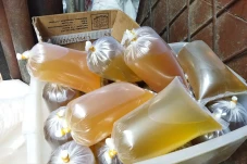 Luhut Sebut Harga Minyak...