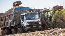 Petani Brazil Gunakan...