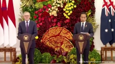 Jokowi-PM Albanese Bahas...