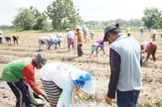 Perkuat Stok, Badan...