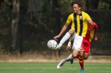 Penyerang Vitesse Keturunan...