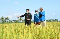 Ekonom Indef: Pertanian...