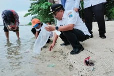 495 Benih Ikan Nemo...
