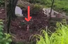 Penampakan Tuyul Berkeliaran...