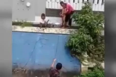 Heroik! Pegawai Transjakarta...