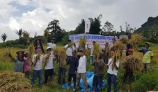 DPD Partai Perindo Humbang...