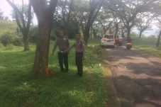 Minibus Tabrak Pohon...