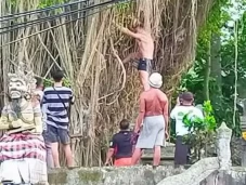 Panjat Pohon Keramat...