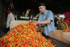 Harga Cabai Rawit Bikin...