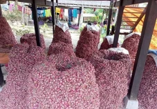 Panen Mulai Marak, Harga...