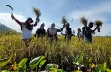 Lagi, Petani Binaan...