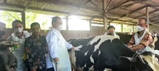 Hadirnya Vaksin Menjadi...