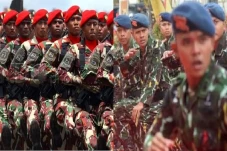 Mau Tahu Perbedaan Brimob...