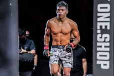 Kalahkan Petarung MMA...