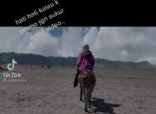 Viral Wisatawan Gunung...