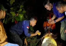 Buaya yang Diduga Memangsa...