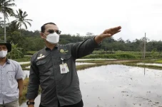 Program Optimasi Lahan...