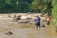Buaya di Sungai Cisadane...