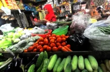 Pemantauan Harga Pangan...