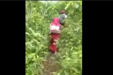 2 Pelajar SD di Bone...