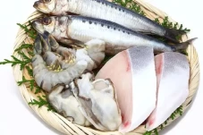 3 Jenis Ikan Ini Bisa...