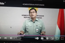 Ratusan Peserta Summer...
