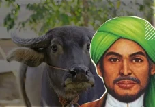 Bagaimana Hukum Kurban...