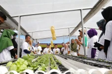 Teman Sandi Gelar Pelatihan...