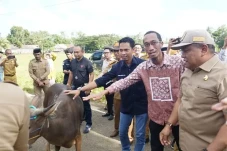 Jelang Idul Adha, Kabupaten...