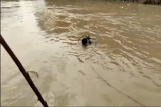 Cari Remaja Tenggelam...