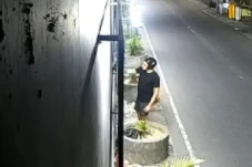 Sayembara Tangkap Bule...