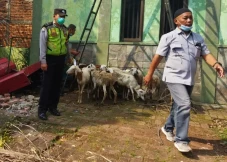 Apresiasi Penyaluran...