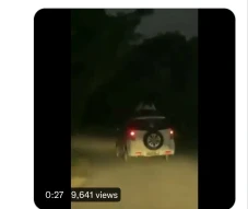 Video Kuntilanak Duduk...