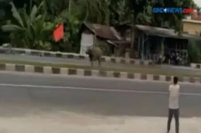 Kabur hingga Pinggir...