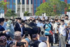 Ini Penampakan Sapi...