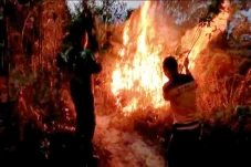 Kebakaran Hutan Kembali...
